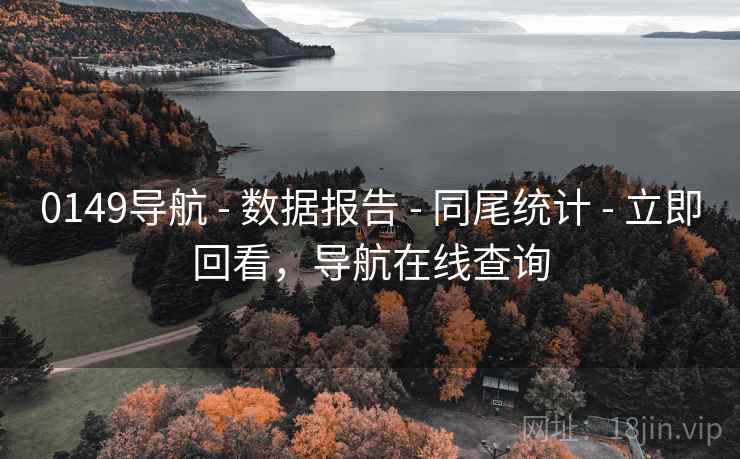 0149导航 - 数据报告 - 同尾统计 - 立即回看，导航在线查询