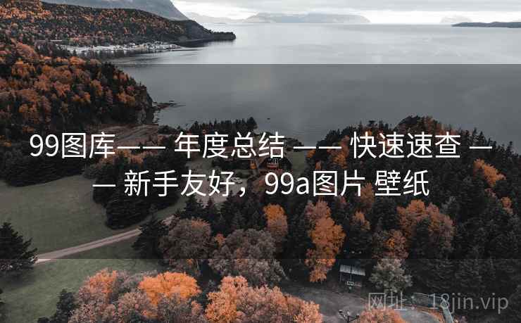 99图库—— 年度总结 —— 快速速查 —— 新手友好，99a图片 壁纸